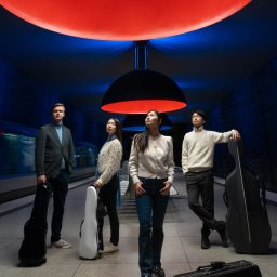 HANA-Quartet_2026©byBalasz-Dolphin